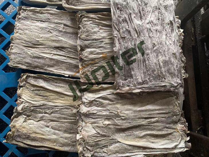Frozen Fish Skin